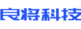 岭东区软件开发公司